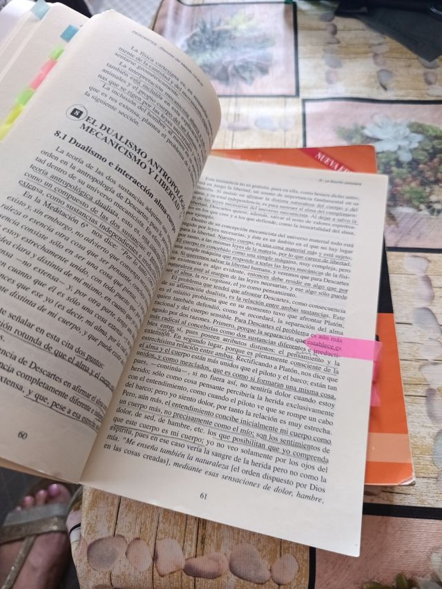 Descartes. Discurso del Método (HISTORIA DE LA ...