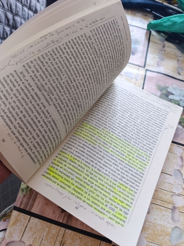 Crítica de la razón pura