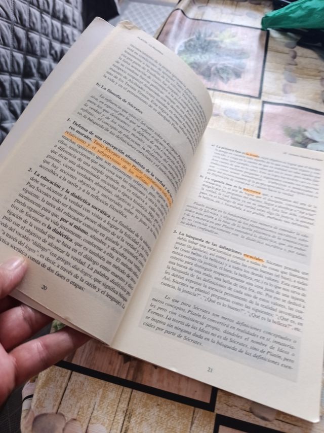 PLATÓN. La República: libro VI (18-21 desde 506...