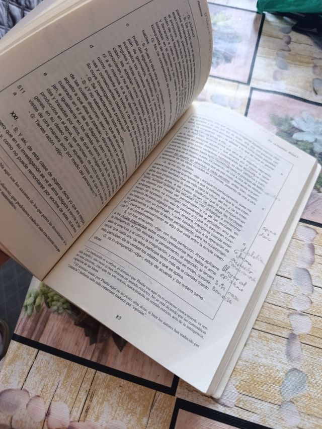 PLATÓN. La República: libro VI (18-21 desde 506...