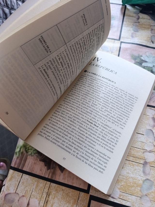 PLATÓN. La República: libro VI (18-21 desde 506...