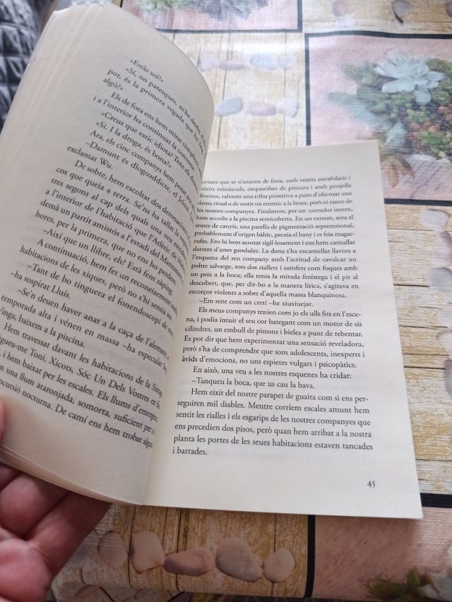 Fi de culs a Mallolca