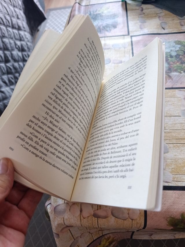 L'enigma del medalló