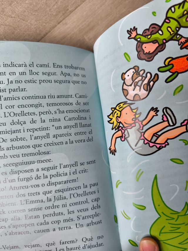 La Banda dels Catòdics Enfurismats