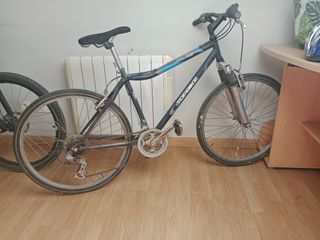 Bicicleta Topbike Hobby 709