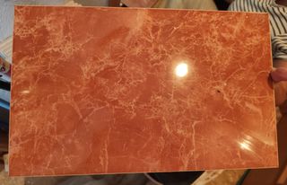 Baldosa suelo naranja 40x25 cm