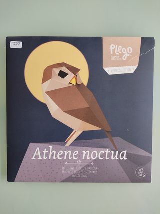 Plego Athene noctua - Figura papel