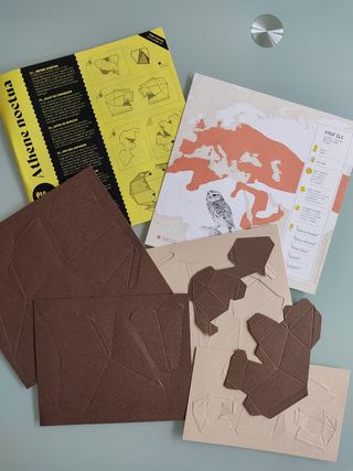 Plego Athene noctua - Figura papel