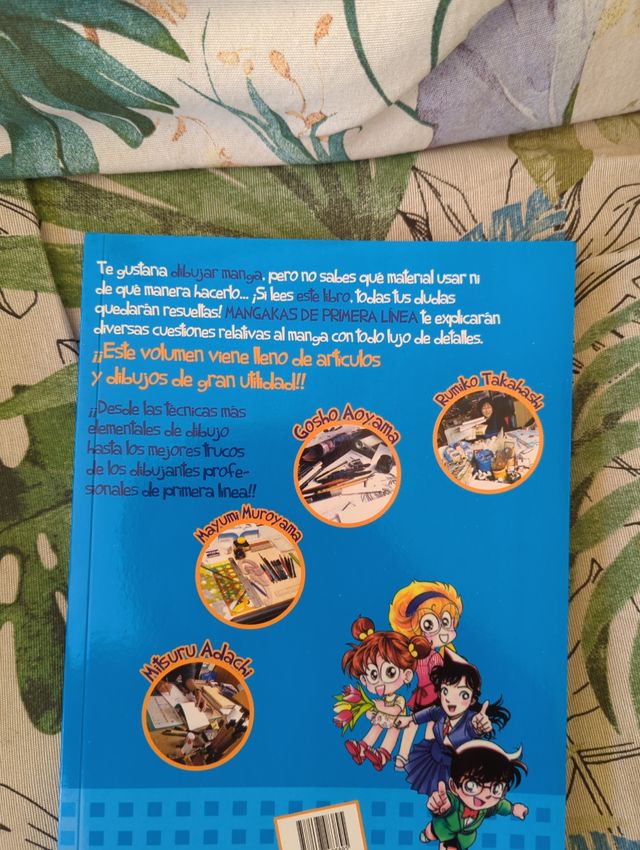 Academia mangaka shonen (Spanish Edition)