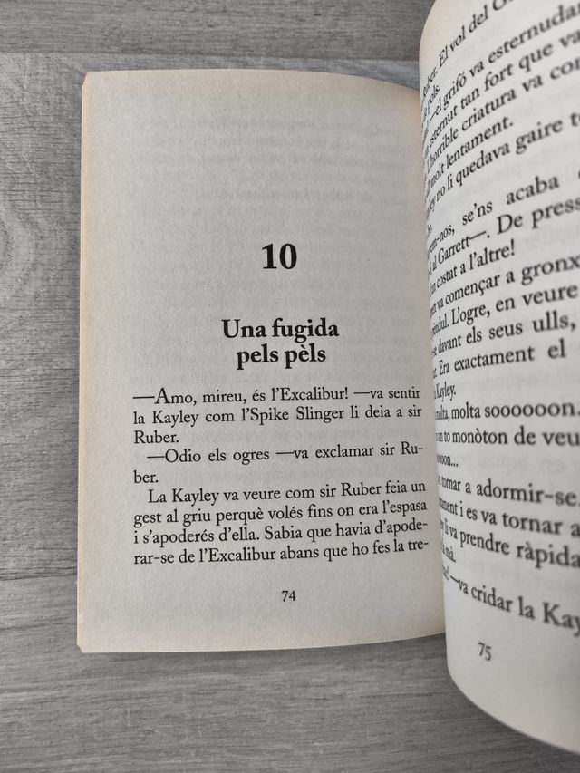 L'ESPASA MAGICA:VERSIO NOVEL-LADA