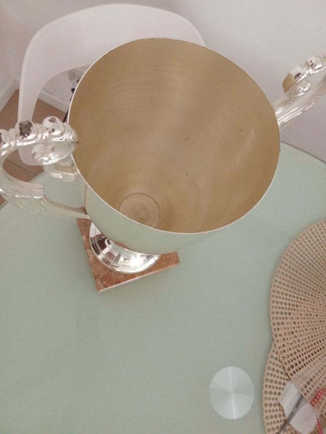 Coppa trofeo vintage elegante