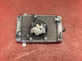 Radiador Suzuki Burgman 250 2004-2007 
