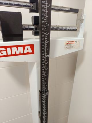 Báscula romana GIMA profesional 