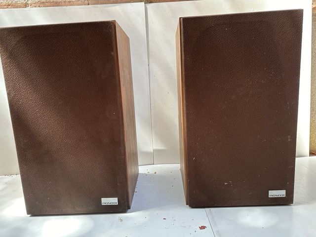 Altavoces Pioneer marrones