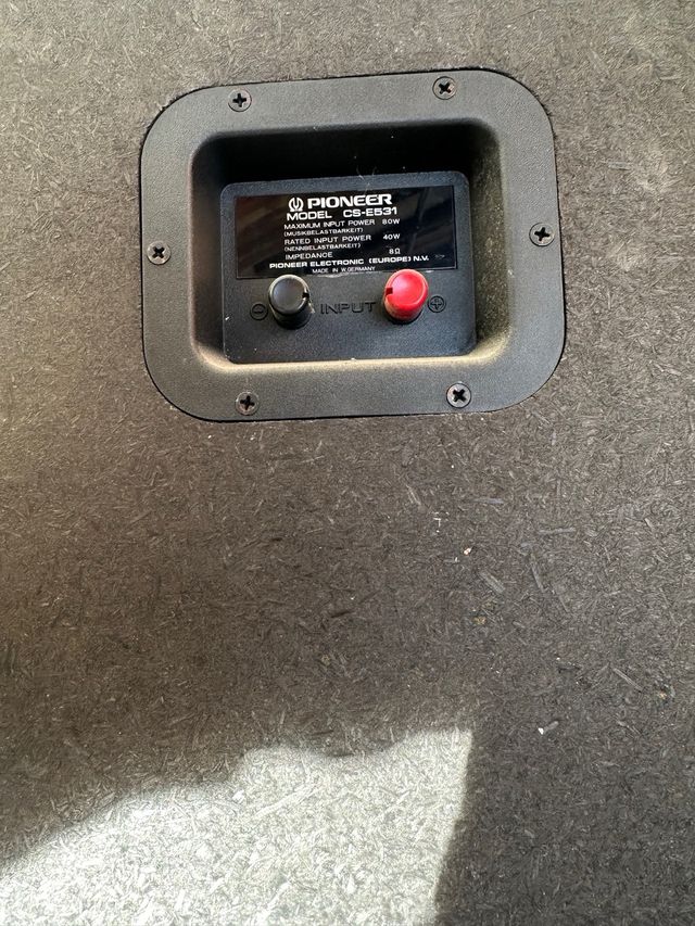 Altavoces Pioneer marrones