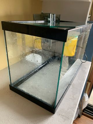 Acuario 20L - Pecera de vidrio