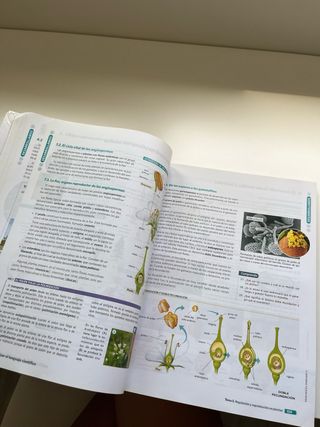 BIOLOGIA GEOLOGIA Y CIENCIAS AMBIENTALES 1 (CER)