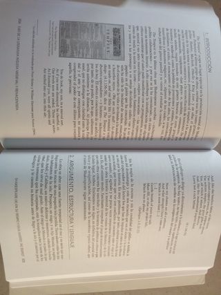 Ejes de la Literatura Inglesa Medieval y Renace...