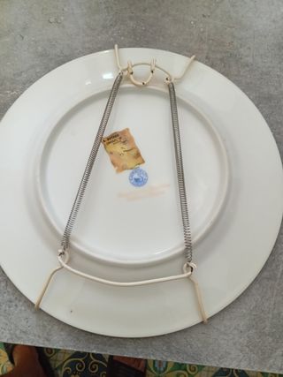 Piatto Ceramica Antica Dipinto a mano Limoges 