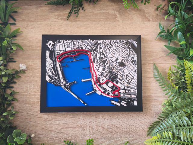 Cuadro GP Mónaco F1 3D