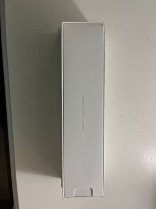 Apple Pencil para iPad