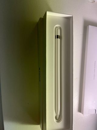 Apple Pencil para iPad