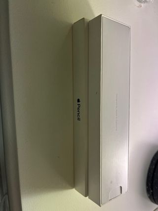 Apple Pencil para iPad