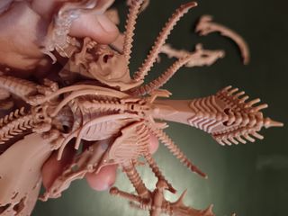 Nagash Signore Supremo