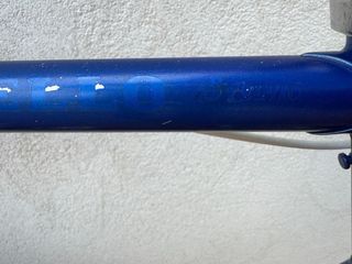 Bicicleta Pinarello Stelvio Talla 56