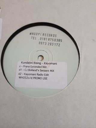 Vinili Trance C.J. Bolland - Sacred Spirit