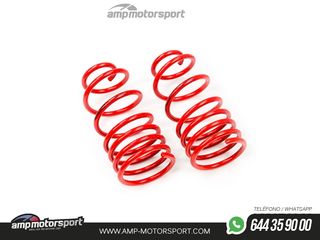 MUELLES DEPORTIVOS MTS TECHNIK MTSXBM318