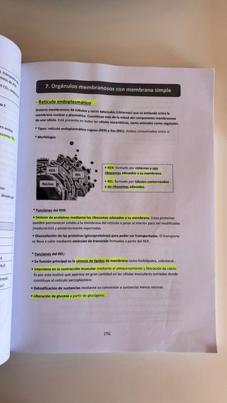 Libros de Bachillerato (Academia Osorio) PAU 2025