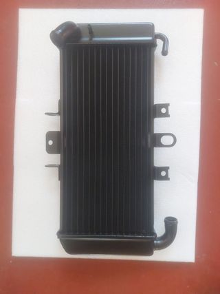 Radiador Yamaha Fazer 600 (98-03)