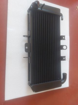Radiador Yamaha Fazer 600 (98-03)