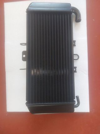 Radiador Yamaha Fazer 600 (98-03)