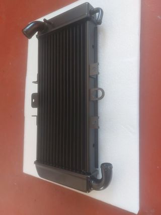 Radiador Yamaha Fazer 600 (98-03)