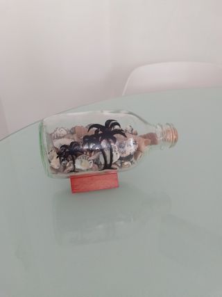 Bottiglia souvenir mare con conchiglie