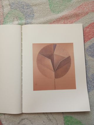 VII Bienal de Lalín 