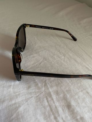Gafas sol Coach HC8271U marrón
