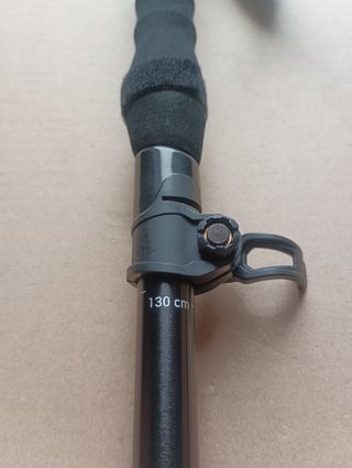 Bastones Senderismo Forclaz 900