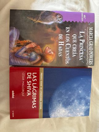 Pack de 2 libros juveniles 