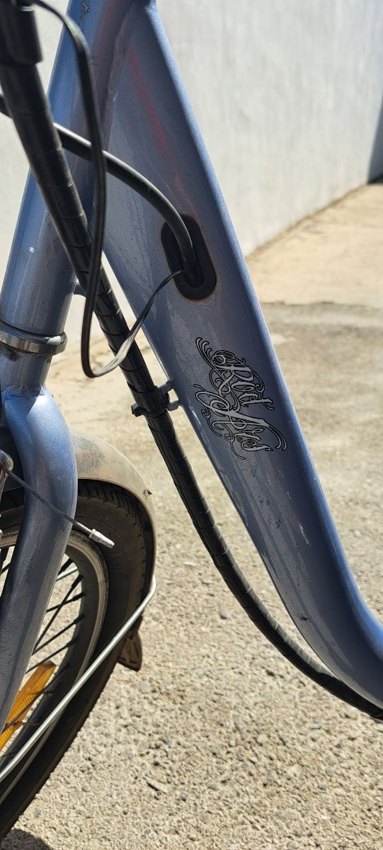 Triciclo eléctrico Rodars Eureka