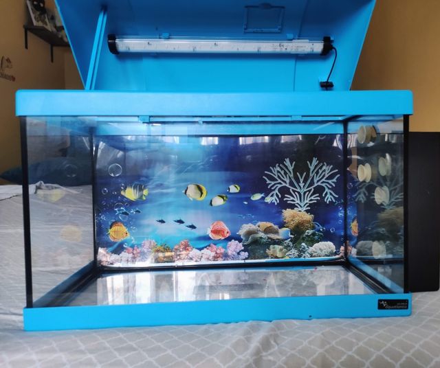 Acuario 20L azul - pecera