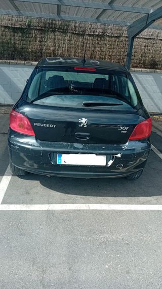 Peugeot 307 2005