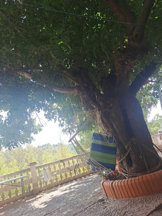 Casa campestre con jardín
O planta baja 
