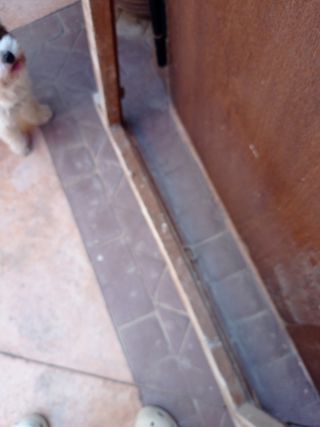 Ventana antigua madera cristal