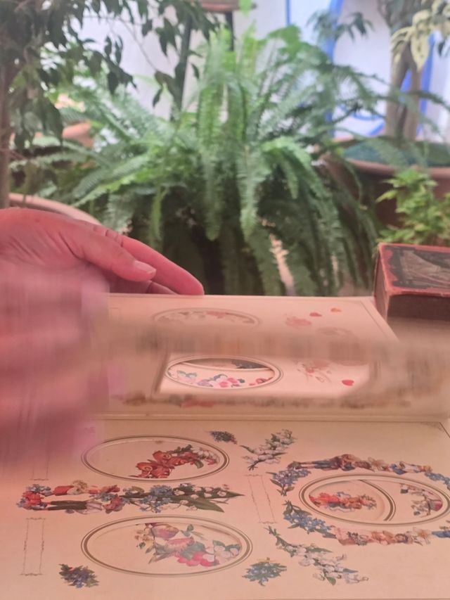 Album fotografico vintage Victoriano