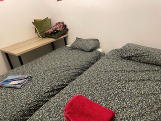 Cama individual plegable - 2uds