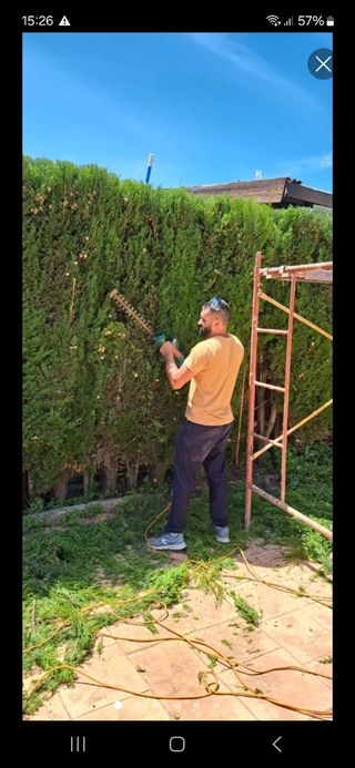 JARDINERO 9€ 8€.? O