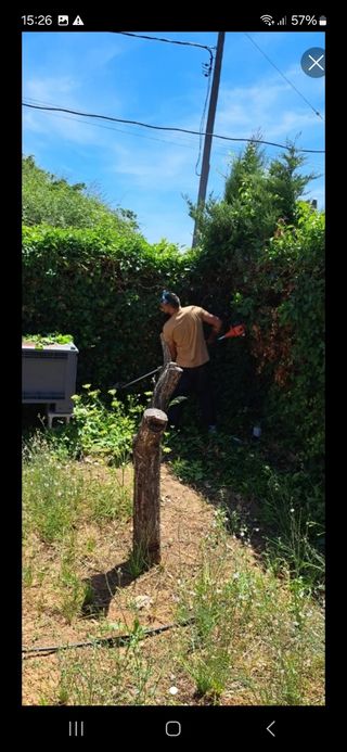 JARDINERO 9€ 8€.? O